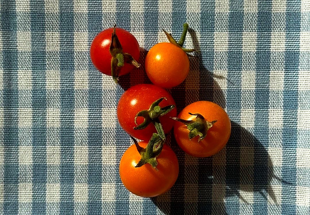 Tomates cherry vermelhos e amarelos sobre uma toalha aos quadrados